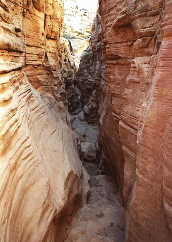 04160302LittleWildHorse (1086)